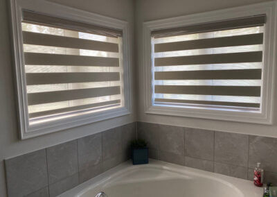 bathroom blinds 14