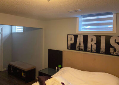zebra blinds basement 01