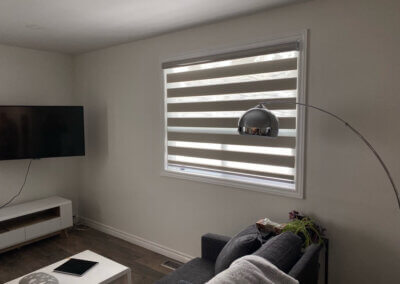 zebra blinds 6