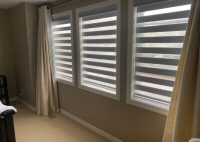 zebra blinds 60