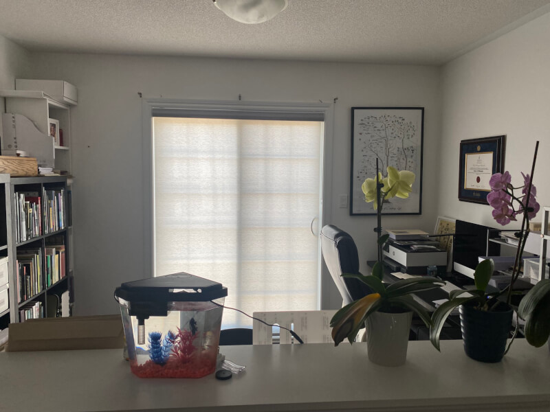 Roller Shades for Office