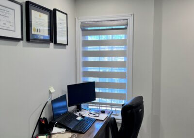 Office zebra shades