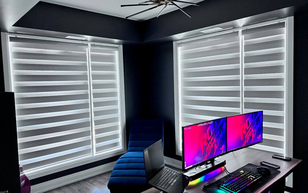 office condo zebra blinds