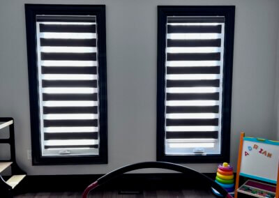 zebra blinds dark scaled