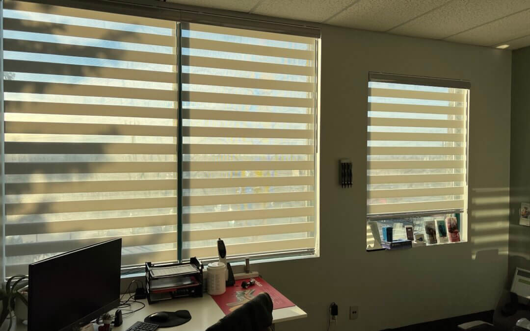 motorized window blinds in Scarborough