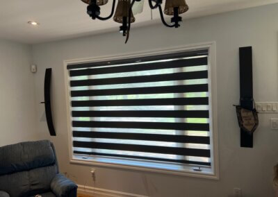 black zebra blinds
