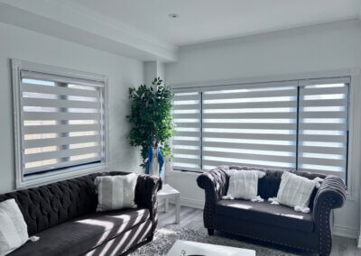 livingroom zebra blinds