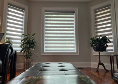 livingroom zebra blinds