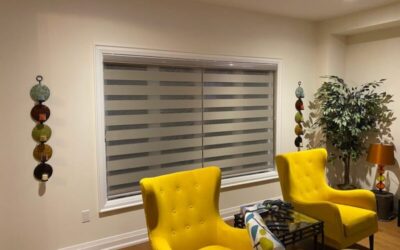 Custom Blackout Blinds: Sunlight and Privacy Control